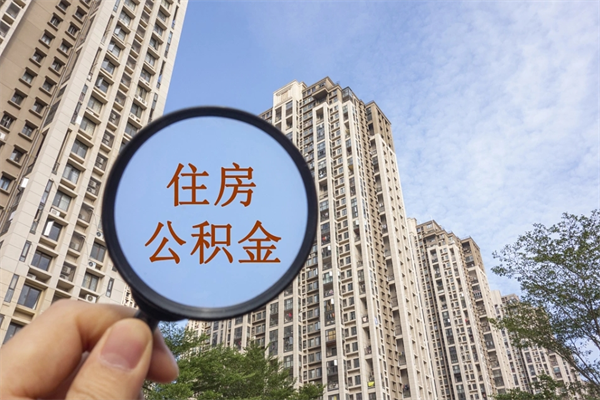 阜新辞职了补充公积金能取不（辞职后补充公积金如何提取）
